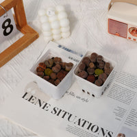 3'' Lithops, Rare Live Succulent Plants