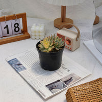 5'' Echeveria Minima Variegated, Rare Live Succulent Plants