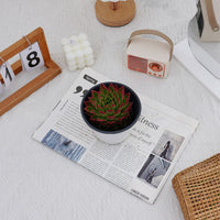 5'' Echeveria Agavoides Red Edge, Rare Live Succulent Plants