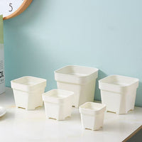 2 inch plastic succulent flower pot