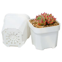2 inch plastic succulent flower pot