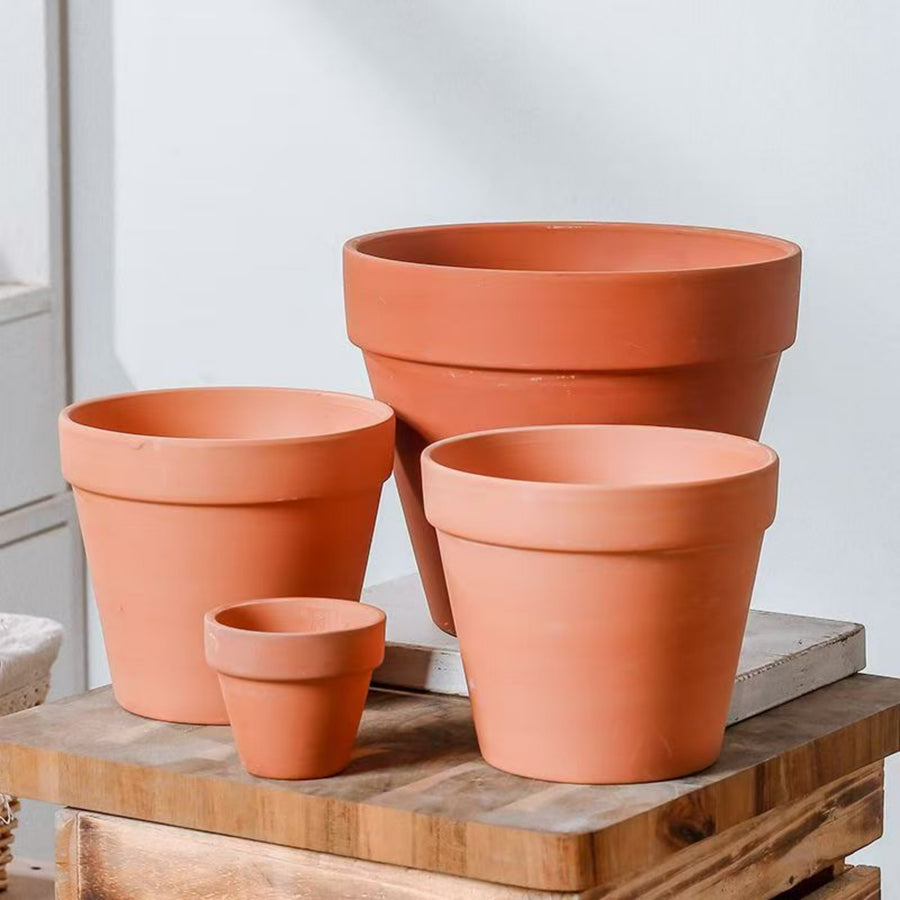 2-inch terracotta succulent plant pot