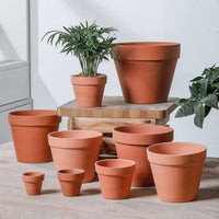 2-inch terracotta succulent plant pot