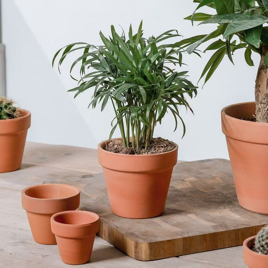 2-inch terracotta succulent plant pot