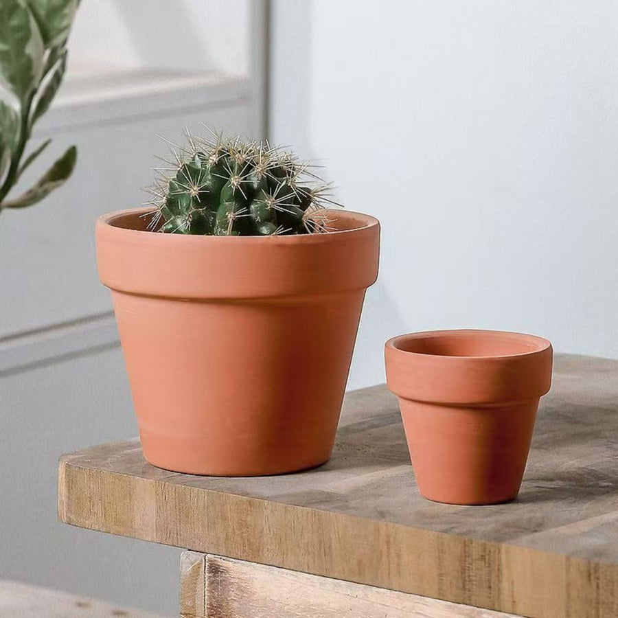 2-inch terracotta succulent plant pot